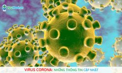 Thông báo: Phòng, chống dịch viêm phổi cấp do chủng mới của virus Corona gây ra